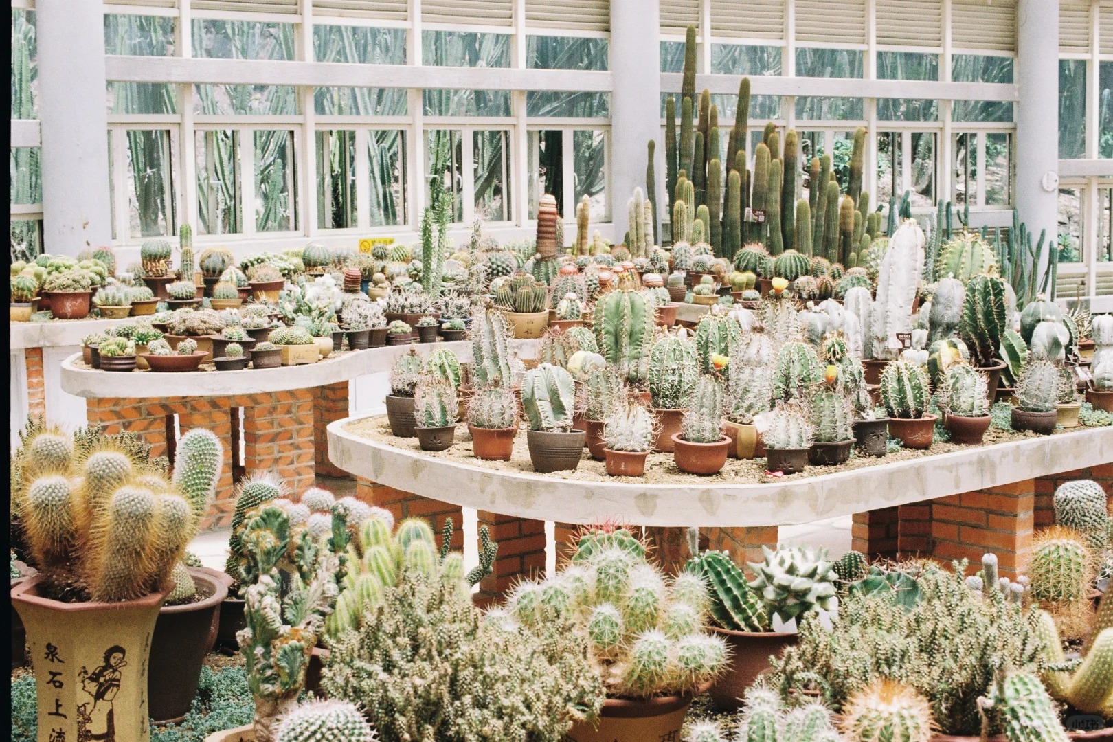 Xiamen Botanical Garden