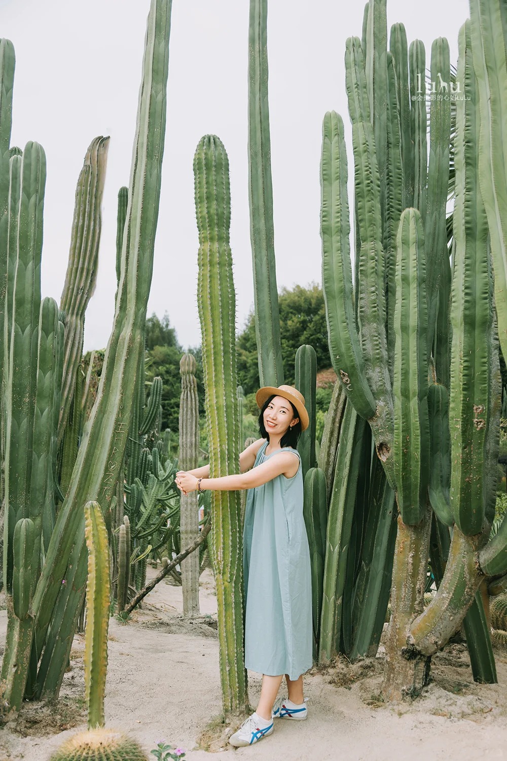 Xiamen Botanical Garden